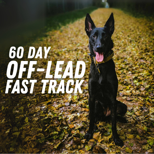 60-Day Off-Lead Fast Track